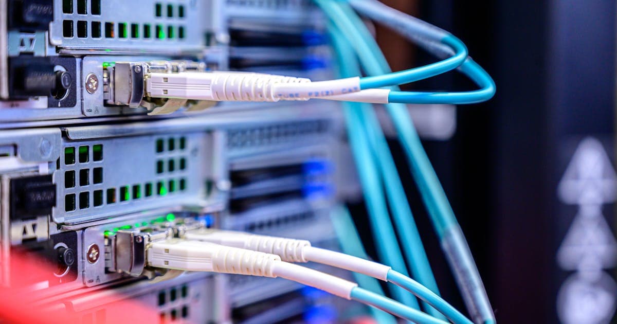 Network cables in server representing DNS infrastructure